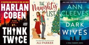 Chilling New Mystery and Fiction Thrillers Books Coming December 2024